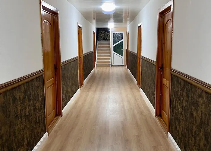 Casa Buscu 3* كوستِنيست